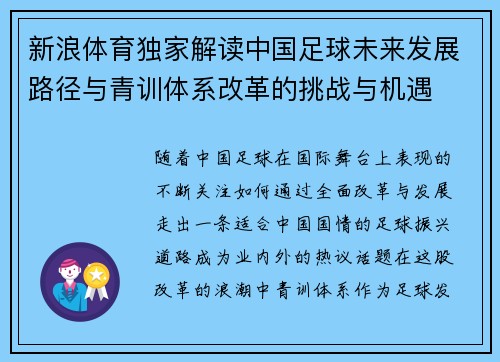 新浪体育独家解读中国足球未来发展路径与青训体系改革的挑战与机遇